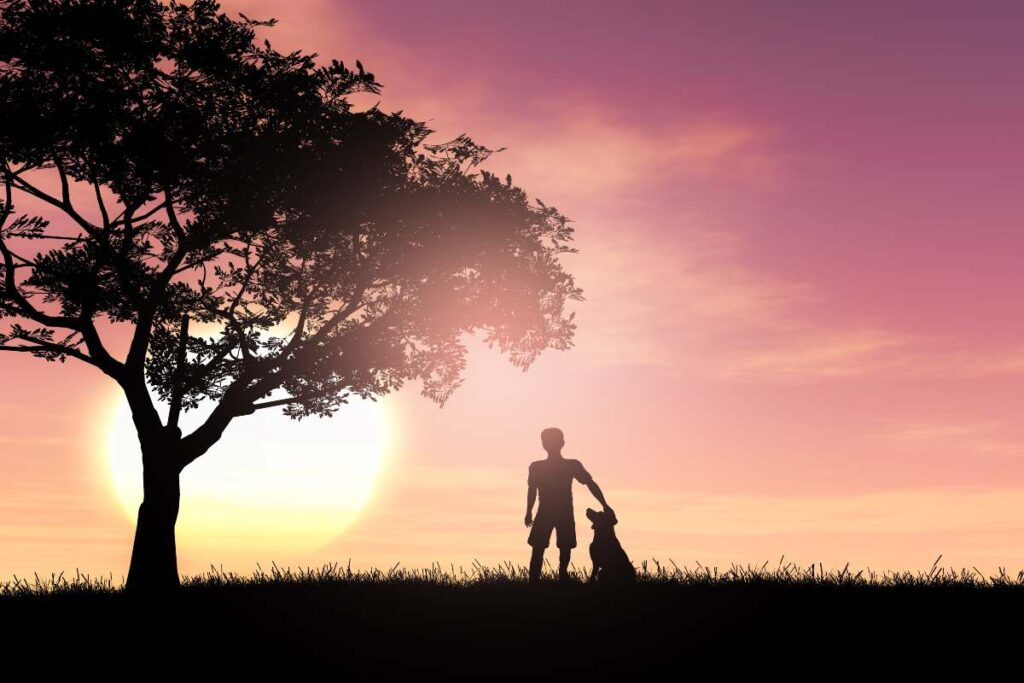 Symbolic image highlighting Will Theron Roth's childhood and family background.